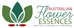 Love Remedies Australische Buschbl&uuml;ten Logo weit