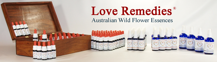 Die Original Love Remedies Australische Blütenessenzen